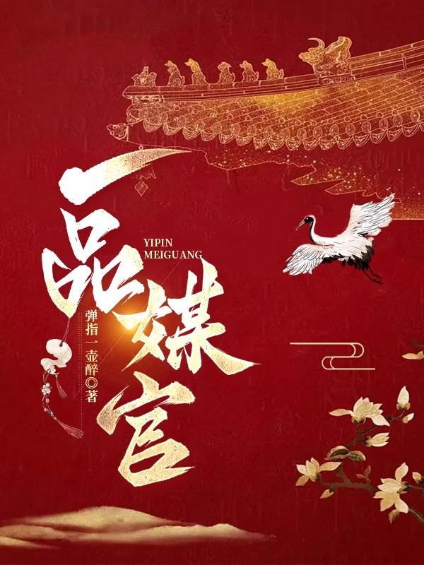 一品媒人小说