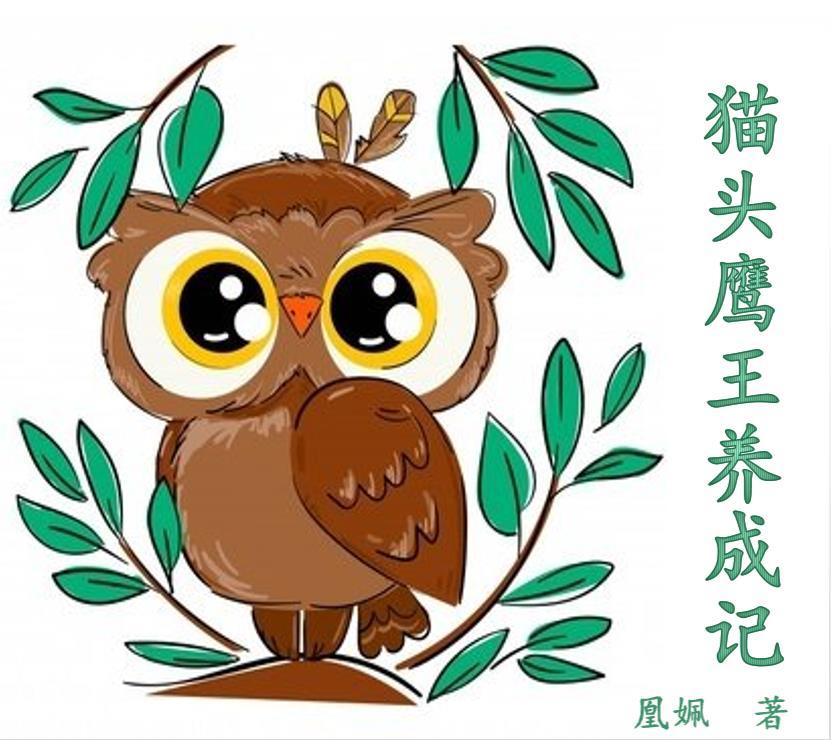 猫头鹰王国必须按照顺序读吗