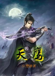 天鹰芯片