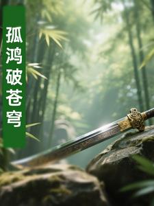孤鸿破苍穹孤鸿破苍穹